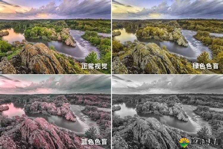以色人网 BB 为中心,带你领略不一样的世界