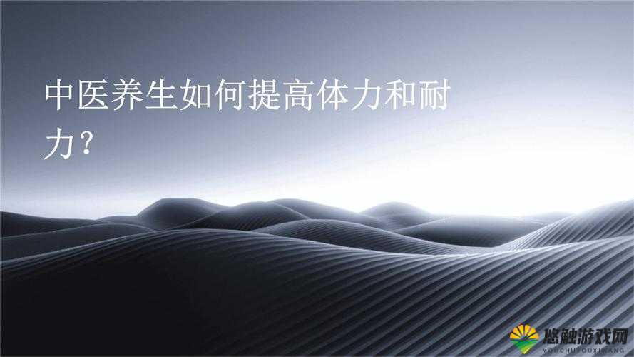 体力+耐力,生存为主战斗模式下的资源管理艺术
