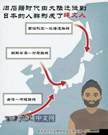 日本人与欧洲人 DNA 对比:差异与共性探讨