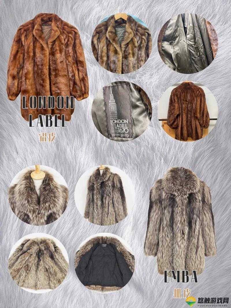 AAAA 级毛皮是纯还是仿:深入探究其真实品质之谜