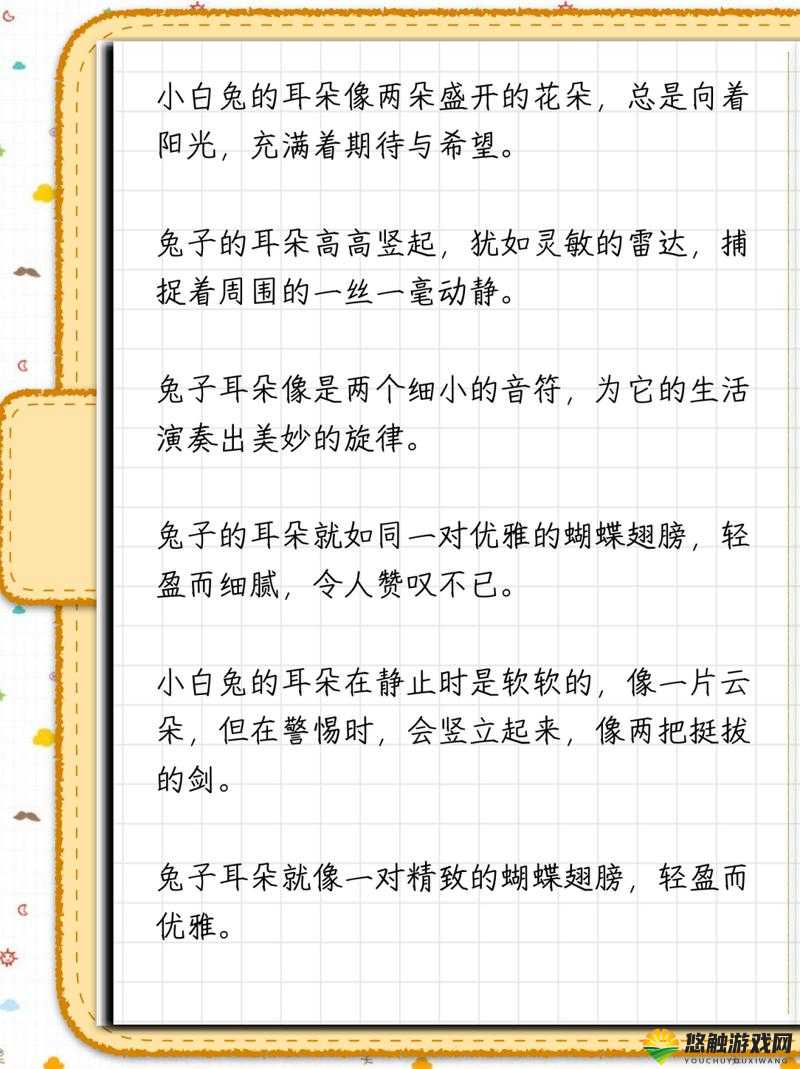 尺寸 po 长耳兔,激发你的无限遐想