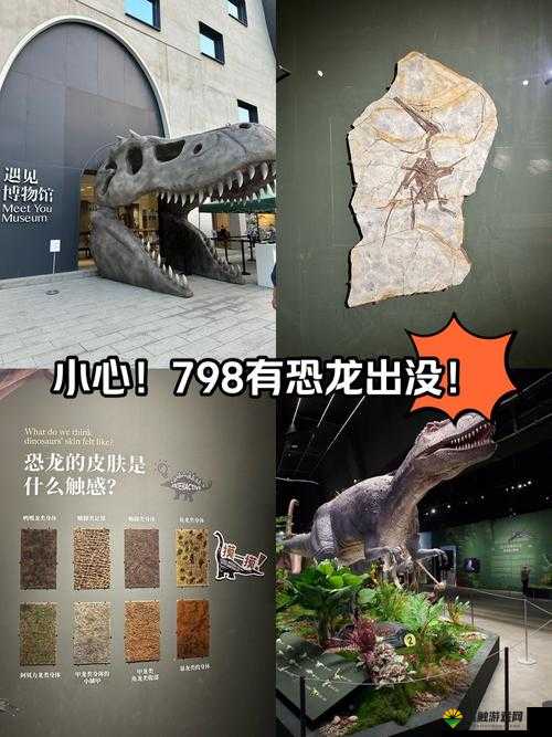 恐龙四人组破解版下载?小心陷阱,拥抱正版乐趣!