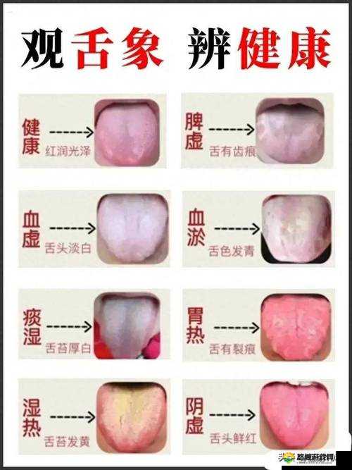 40 岁男人那厉害非凡的舌头究竟有何奥秘