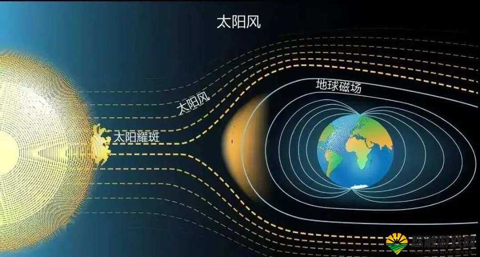 昼夜更替 12h:对地球生态系统及人类生活的深远影响