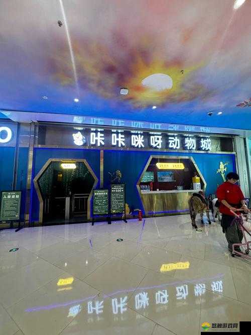 关键词的魅力,从写作到游戏,再到萌宠的奇妙之旅