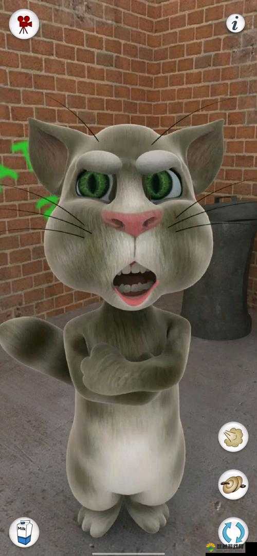 我的会说话的汤姆,与汤姆猫的互动攻略