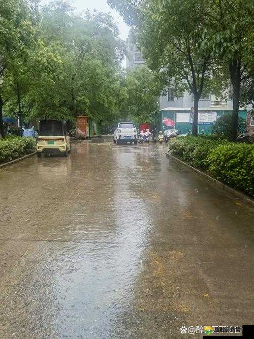 JUL532 外勤突然下大雨：恶劣天气影响工作进展如何应对