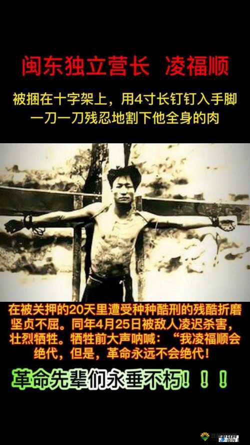 一杆大戗草全家的荒诞家庭故事