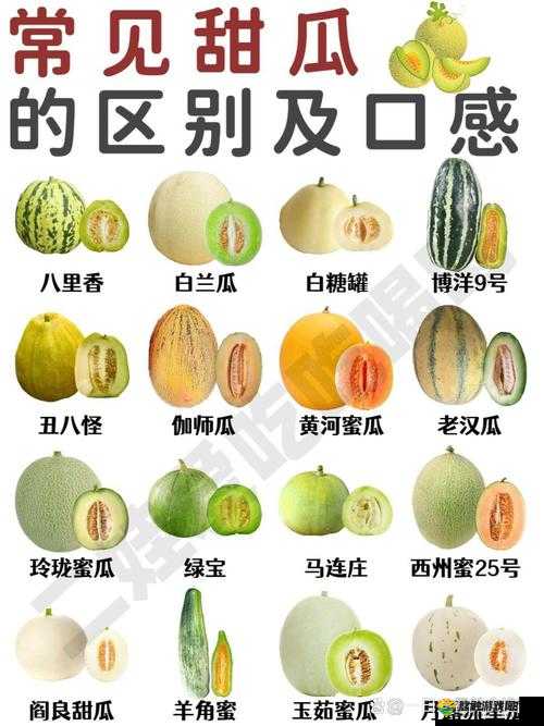 INTITLE 免费吃瓜爆料:最新鲜有趣的瓜等你来尝