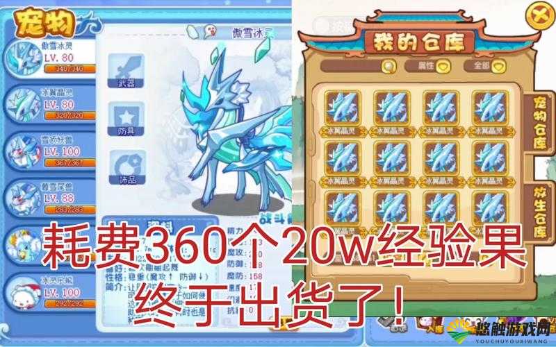 地牢猎手5霜咒之球深度解析及寒冰属性进化材料介绍