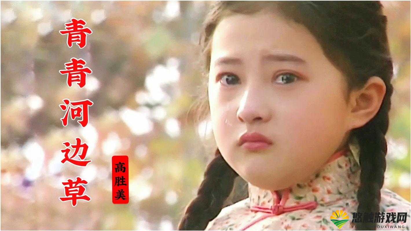 青青河边草免费观看电视剧：经典剧集带你重温美好回忆