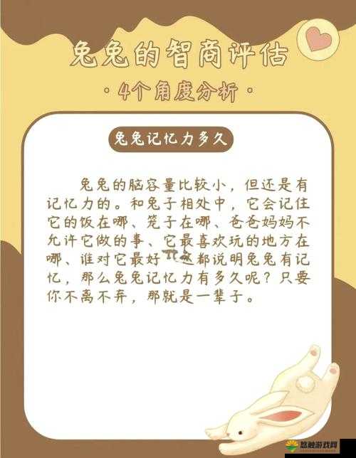 智商大挑战，揭秘第2关卡湿淋淋的狗之谜