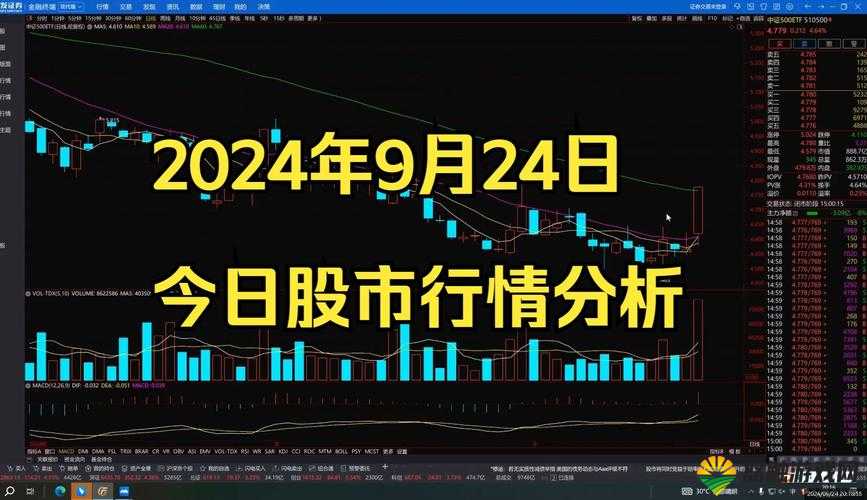 免费看行情的网站:提供精准行情资讯的优质平台