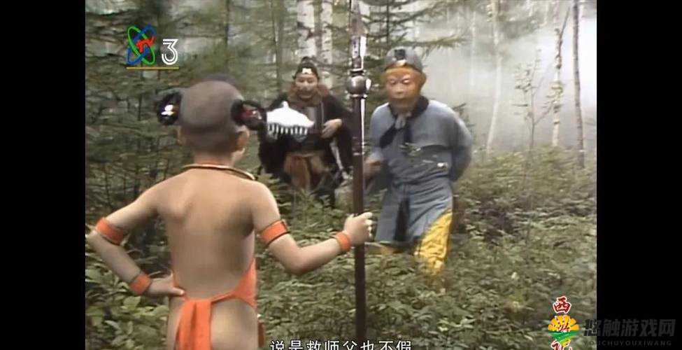 他师徒多胎撑着腰胎腹下坠之相关情况探讨与分析