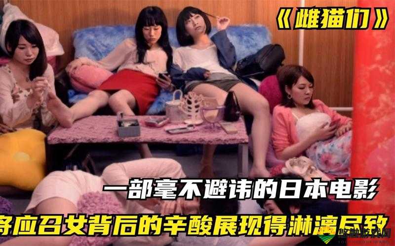 yellow 日本高清免费中文：探索成年人世界的视觉盛宴