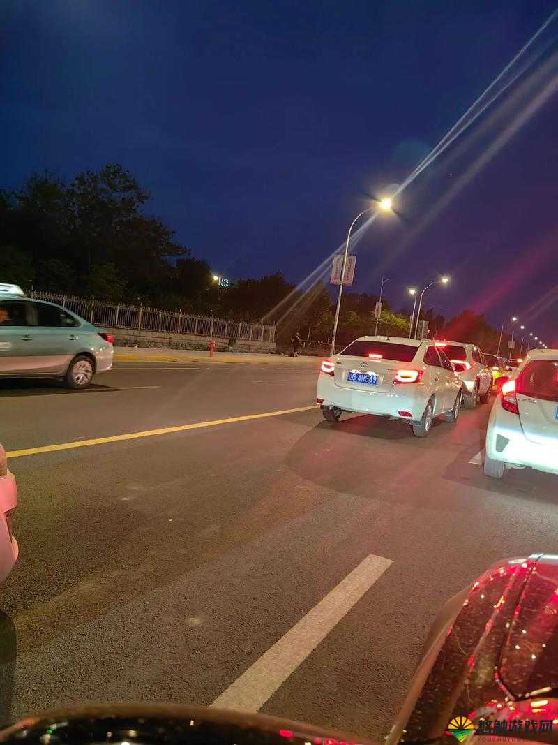 两个人夜晚在车上能干什么重新开放发言：相关活动与话题探讨