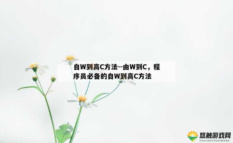 探索自 W 到高 C 的独特方法及有效途径