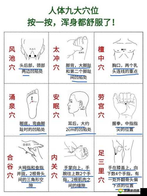 按哪个部位可以提高性功能:中医穴位按摩的秘密技巧