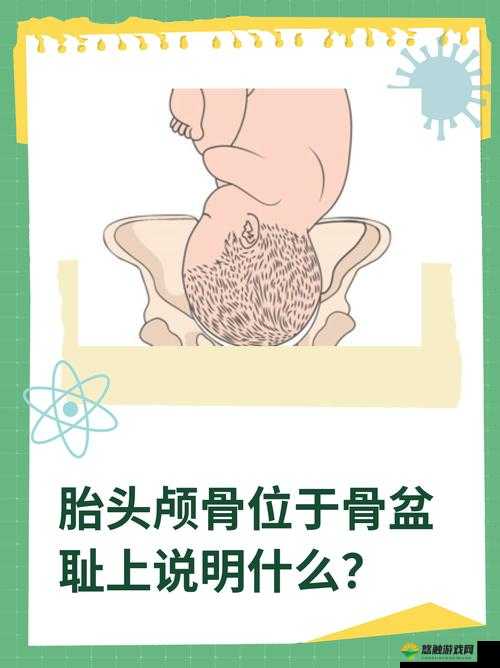 胎头湿漉漉挤出来时的应对方法及措施探讨