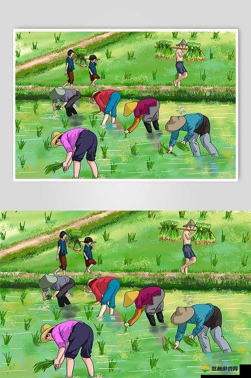 情侣插秧姿势参考绘画图片：展现农耕中的浪漫瞬间