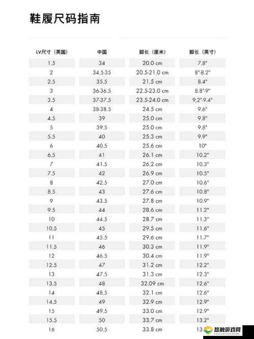 欧洲码欧洲尺码M高清开设播放专区:打造专业的视频播放平台