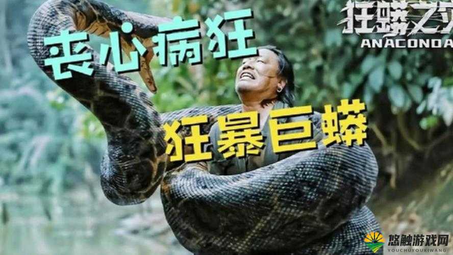 被一条蛇做到崩溃：惊悚遭遇引发的极致震撼