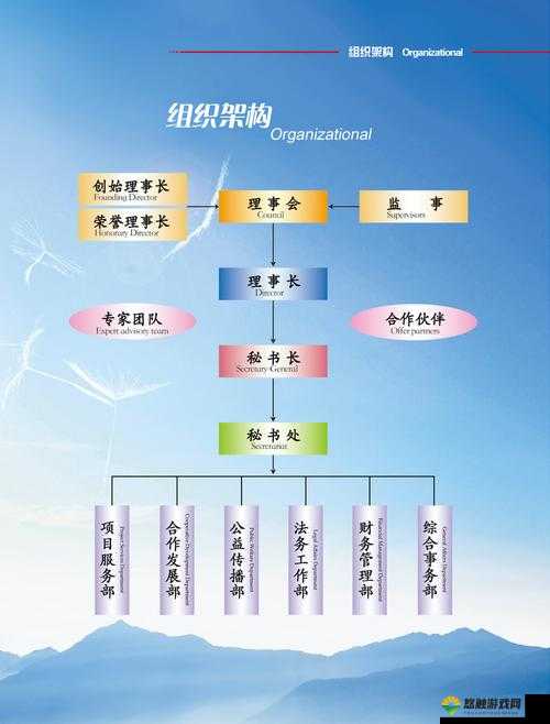 以下哪一项是基金会的组织特点之深入分析与详细解读