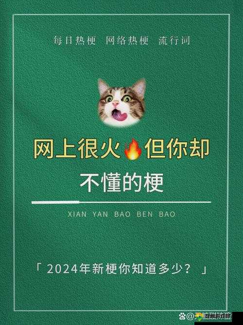 166FUN 热点黑料：网络热梗背后的争议与反思
