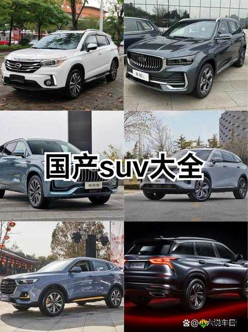 国产 SUV 精品一区二区 69-带你领略优质国产 SUV 的魅力