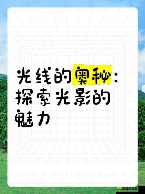 导演的摄影课 hl：探索光影艺术的奥秘