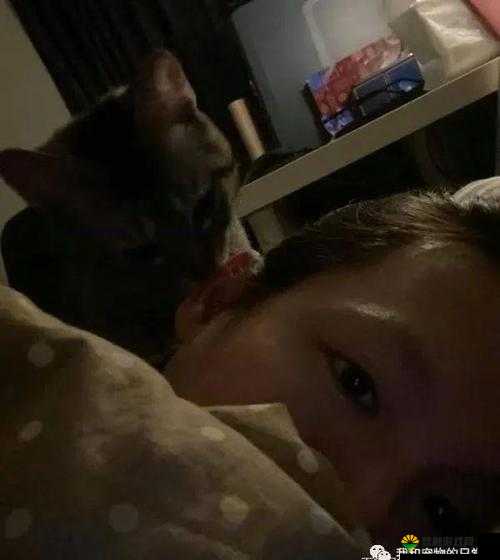 孩子的阴阳调和:半夜装睡的秘密与陪伴