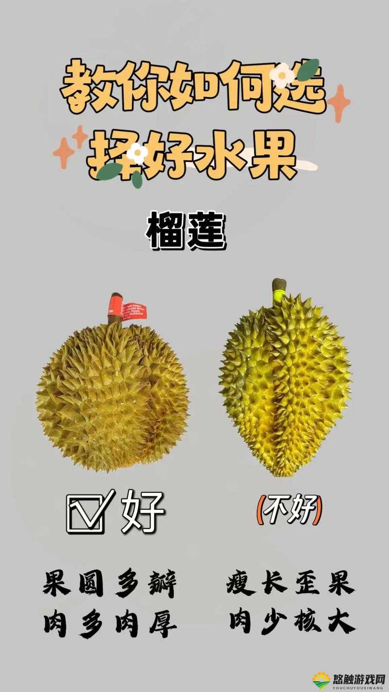 草莓菠萝黄瓜榴莲秋葵大全：各类蔬果的详细介绍与特点