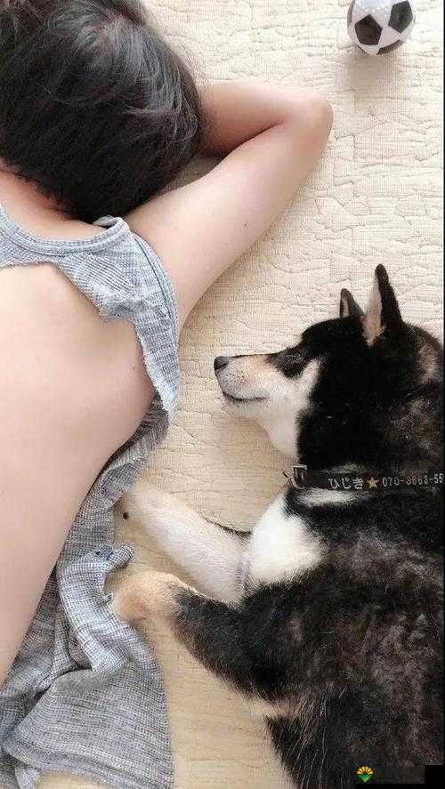 美女被 C 软件:隐私泄露引发的伦理争议