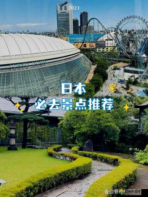 日本:文化、娱乐与生活的交融