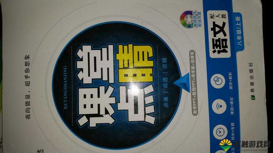 深度开发 pop 家教：培养未来精英的创新模式