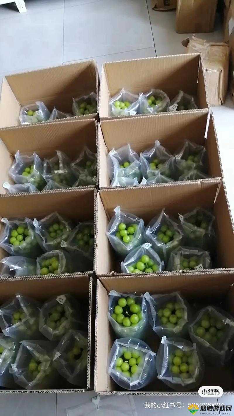 沈阳 45 岁老阿姨用方言卖葡萄：这葡萄嘎嘎甜啊