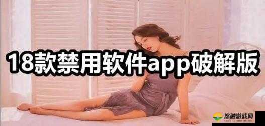 100 种禁用的视频软件免费大全：你所不知道的软件集合