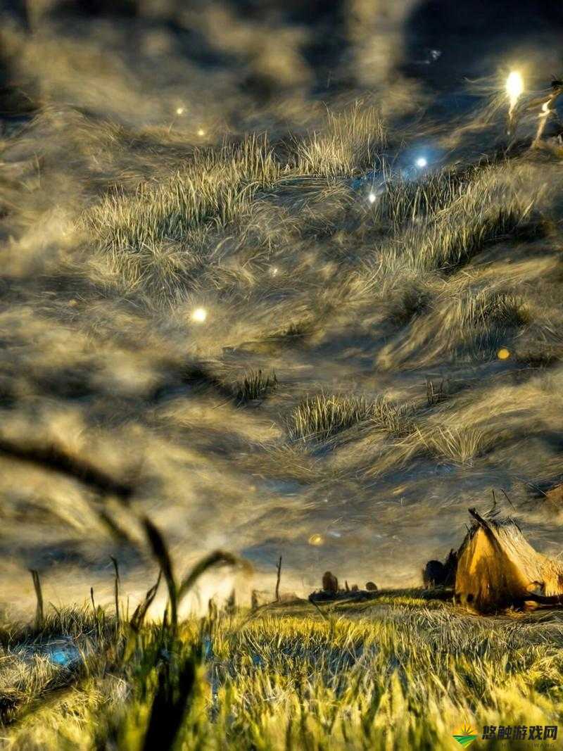 绽放的 494949 大但人文艺术瓣开:一场视觉与心灵的盛宴