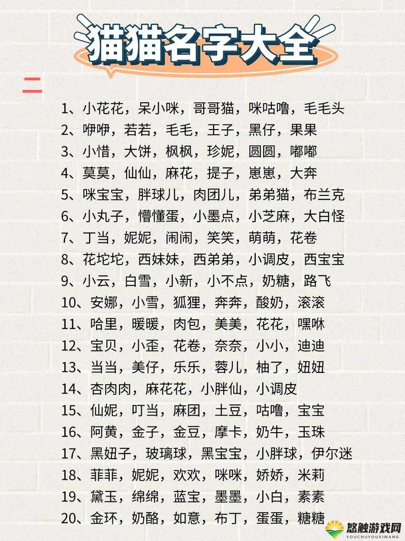 猫咪 www 最新地域网名怎么取的独特取名思路探讨