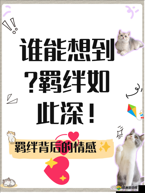 男人同性裸交：探索别样的亲密与情感交流