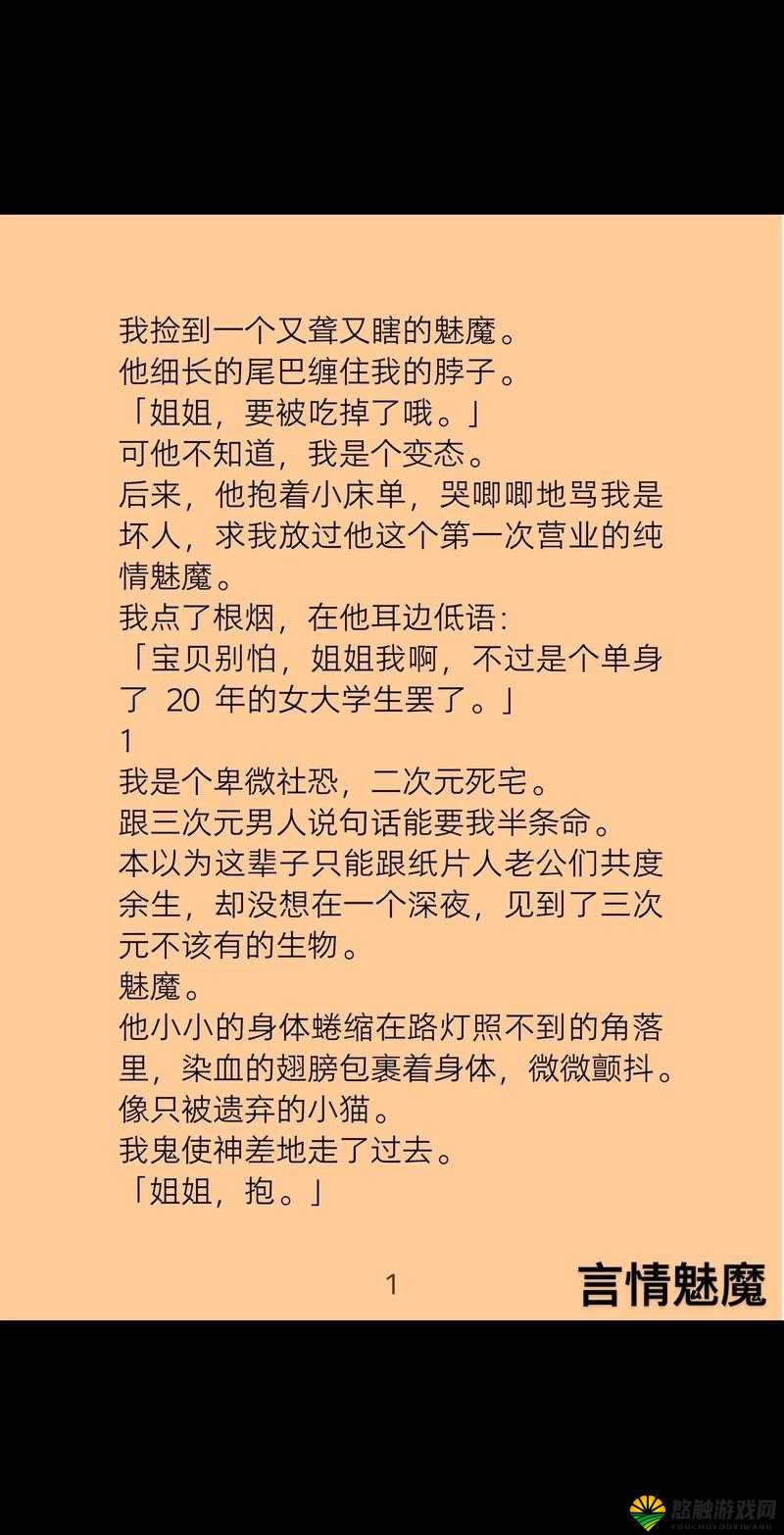召唤魅魔小说：一场充满神秘与奇幻的异世界冒险之旅