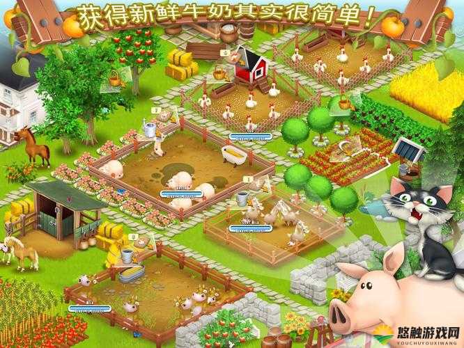 疯狂农场 3：建设与养殖的奇妙冒险