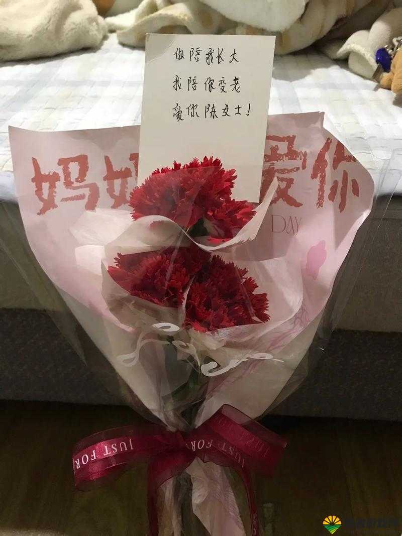 好儿子：今天妈妈是你的生日礼物