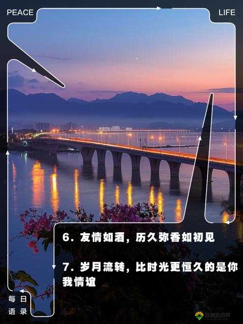 91xx 久久相伴,精彩永不落幕