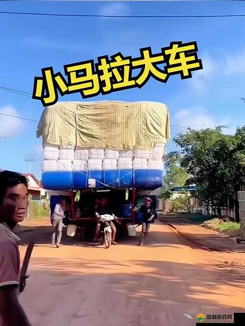 海角小马大车：带你开启奇幻有趣的冒险之旅