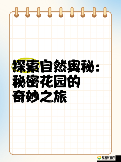 探索秘密花园：大手所指，寓意何方？