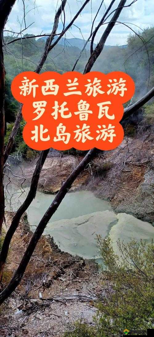 人鲁交 yazhonghucXX：一场独特的交流探索之旅