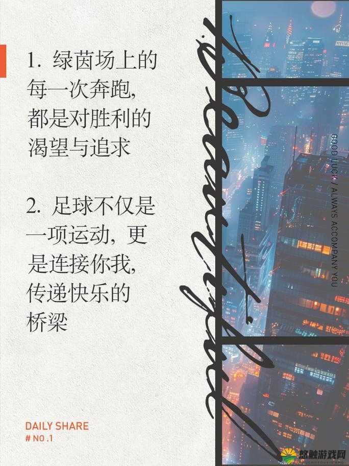 足球大师,绿茵场上的策略与激情