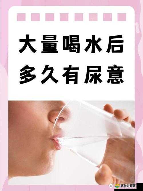 成熟女性排尿行为研究:探索生理与健康的关系