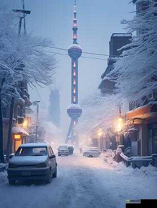 风雪中的城市，一座被遗忘的冬日奇迹